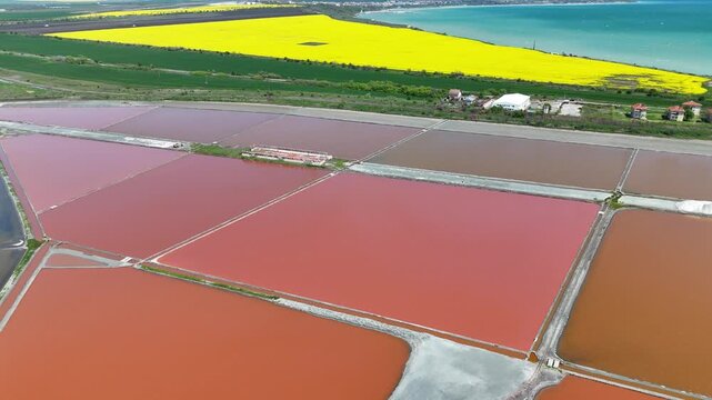 Aerial drone view of pink salt lakes, yellow rapeseed fields and the blue sea in Bulgaria.