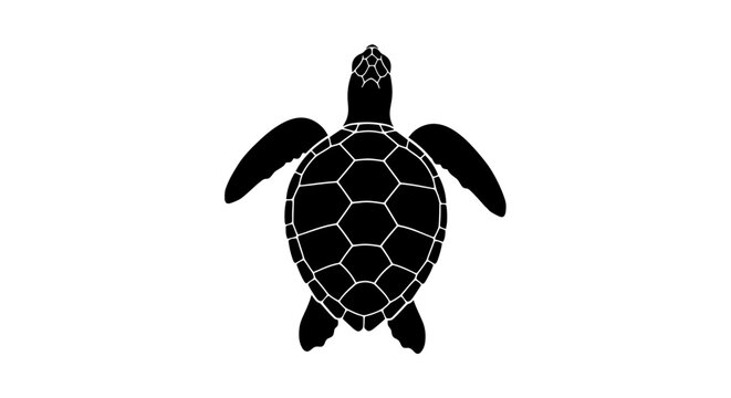 A black turtle silhouette showcases a detailed shell pattern against a white background silhouette tortoise reptile marine