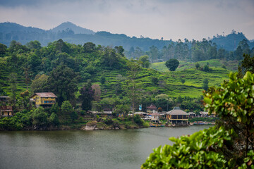 Fototapeta premium Tea plantations and houses by Patenggang Lake in Rancabali