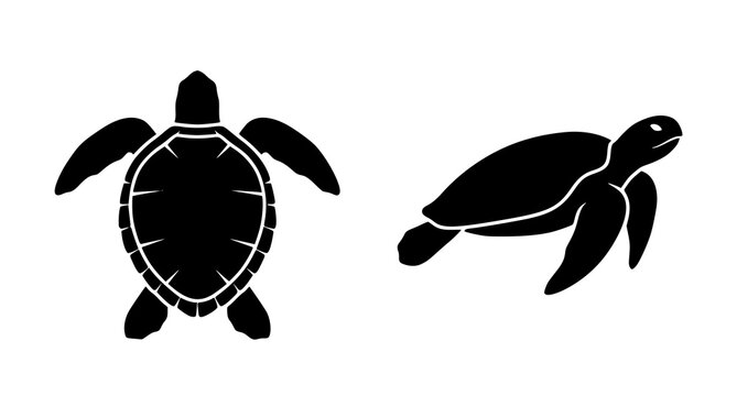Set of two black silhouettes of sea turtles isolated on a white background showing top view and side swimming pose