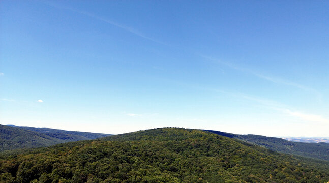 wide panorama of lush green deciduous summer forest on gentle hill top. dynamic white cloudscape above in bright blue sky. nature, outdoors and summer vacation concept. 