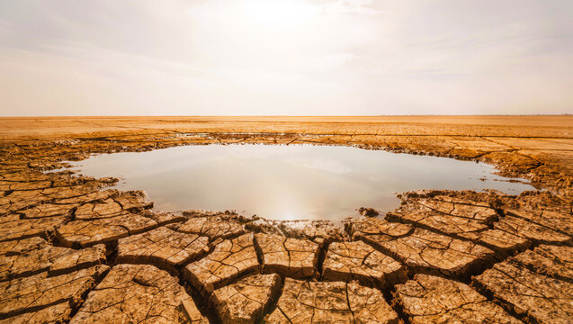 Cracked dry earth surrounding a shrinking pool of water under a hot hazy sky, drought and climate change environmental concept wide shot with copy space