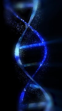 The DNA chain rotates in a helix.This video make a perfect concept for human DNA, microbiology, RNA protein, pharmaceutical health, genetics, stem cell research, healthcare, or the human genome.
