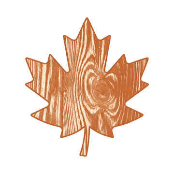 Wood Grain Textured Maple Leaf Icon Isolated on Black Background