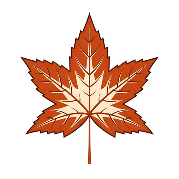 Stylized Graphic Autumn Maple Leaf Isolated on Black Background