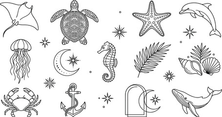 Celestial Sea Life Line Art Icon Set with Turtle, Whale, Dolphin, Starfish, and Mystical Moon Symbols for Tattoos, Branding, and Vector Designs © MstRozinaAkter