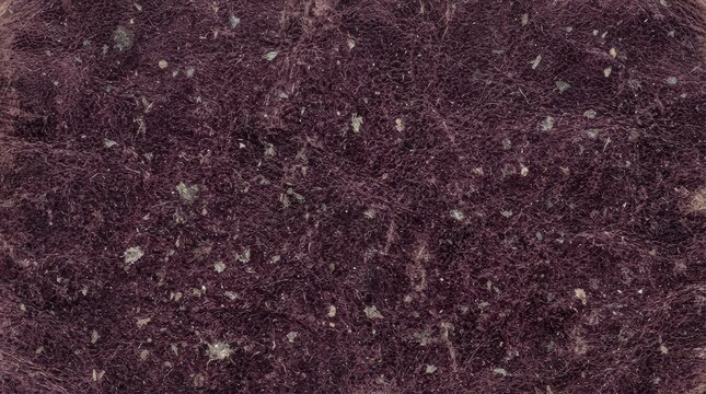 Deep purple textured surface with speckled details