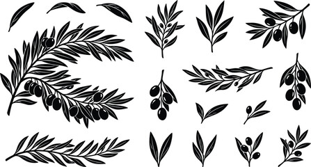 Black olive branch, leaf, berry silhouettes, Greek botanical floral elements for Mediterranean oil package logo design art © MstSumi