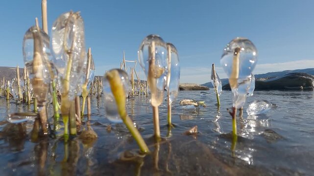 冬の諏訪湖の氷の風景