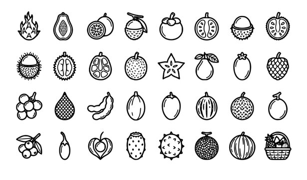 Tropical and exotic fruit outline icons | Dragon fruit papaya passion fruit lychee mangosteen editable stroke vector on white