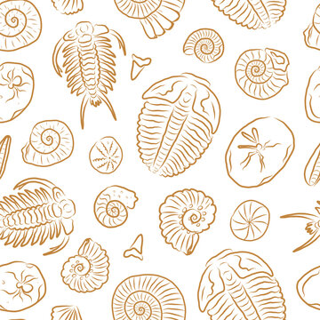 Seamless hand drawn fossil pattern with ammonites and trilobites on white background.