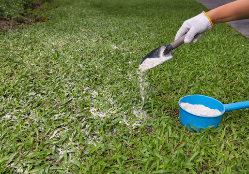 Lawn Care: Apply dolomite lime to raise soil pH, reduce acidity, and help grass absorb nutrients.