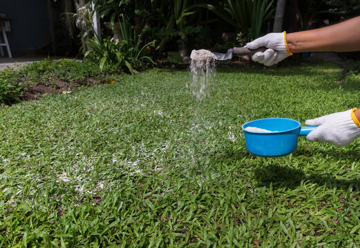 For lawn management, applying dolomite lime to the grass raises the soil pH, fixes acidity, and helps the grass absorb nutrients effectively.
