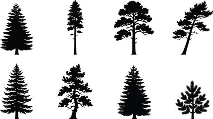Set of black silhouette coniferous trees featuring pine, fir, and spruce for nature design © Emon