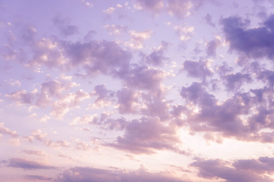 Pink Dramatic Sunset Sky Background with Copy Space Area.