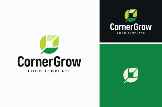 Leaves become square or box corner logo design