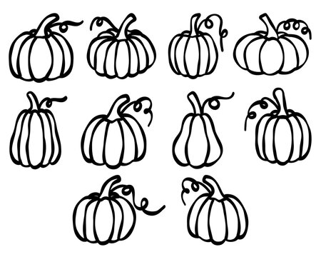 A collection of simple, hand-drawn outline vector icons featuring various pumpkin shapes and autumn elements isolated on a transparent background