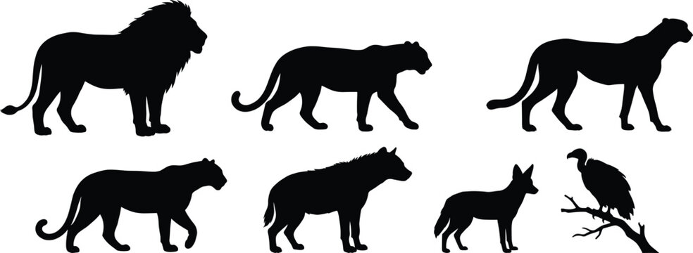 Black Silhouette Vector Set of Lion, Leopard, Cheetah, Hyena, Jackal, and Vulture on White Background