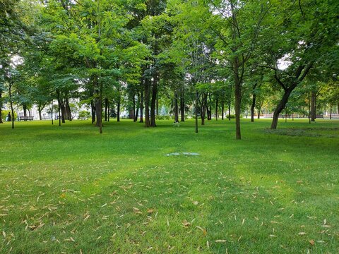 path in the park