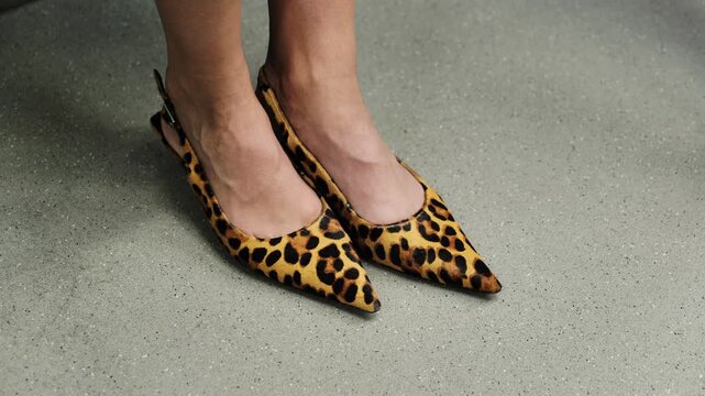 Woman wearing fashionable leopard print slingback shoes with pointed toe