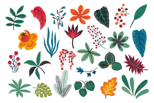 Vector set of tropical plants and flowers. Exotic collection.