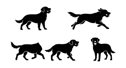 Obraz premium Labrador Retriever Dog Silhouettes, Set of 5 Poses, Black Vector Art