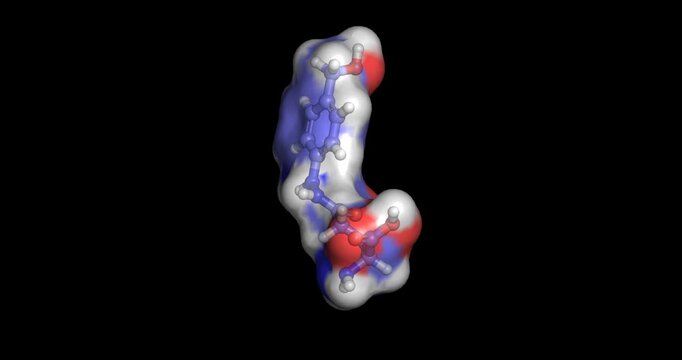 Agaritine, mushroom compound for food safety and natural toxin research, 3D molecule spinning, 4K
