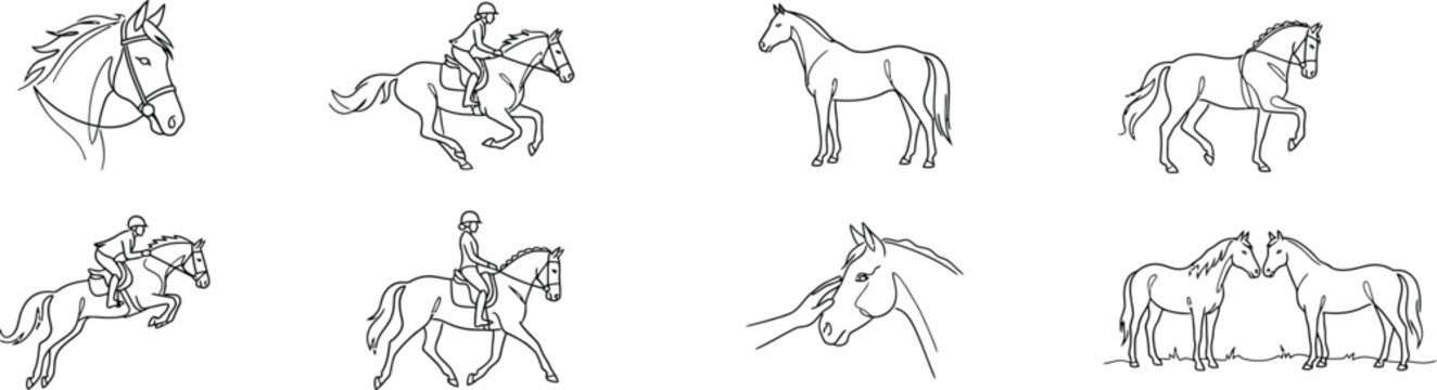 Set of hand drawn sketches featuring various horse poses and galloping movements in black ink on white