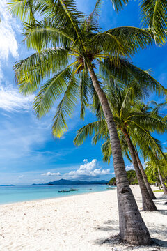Tropical sand beach in the Philippines with palm trees as a perfect holiday getaway