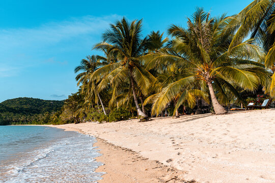Tropical sand beach in the Philippines with palm trees as a perfect holiday getaway