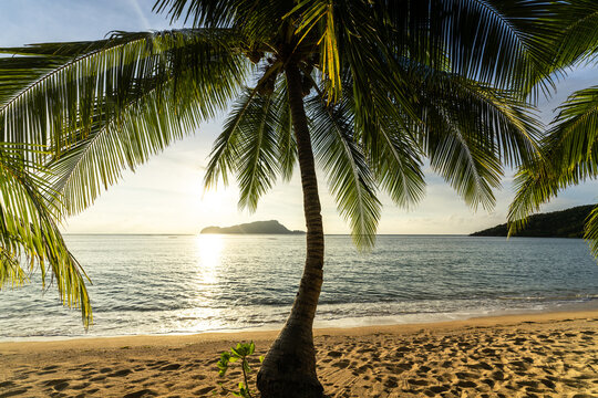 Tropical sand beach in the Philippines with palm trees as a perfect holiday getaway