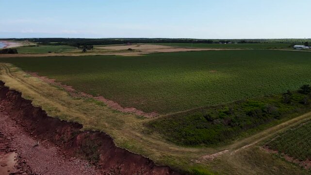 Aerial view of red sandstone cliffs and potato fields on Prince Edward Island coast