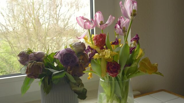 Fresh and fading flowers in vases near window