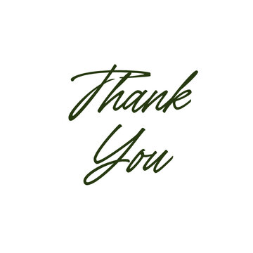 vector illustration of Thank You on white background.