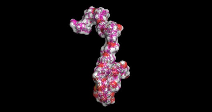 Maitotoxin, marine dinoflagellate toxin, 3D molecule 4K spinning
