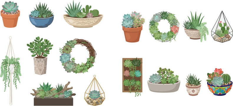 Collection of various succulent plants in pots, terrariums, and wreaths on a white background.