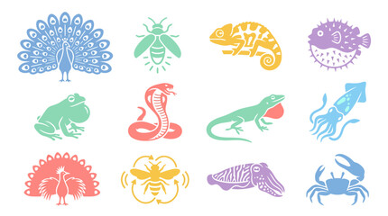 Obraz premium Colorful animal icons on white background.