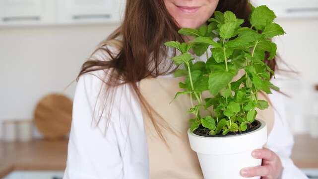 woman holding a potted mint plant indoors