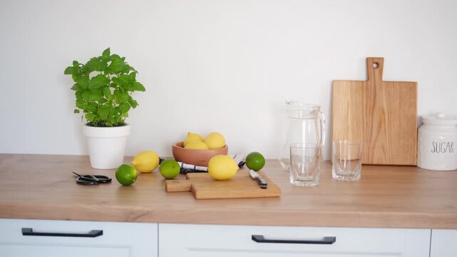 Lemons and limes on a kitchen counter with a plant and pitcher