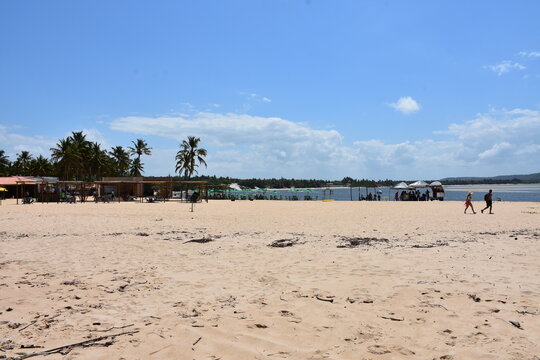 praia do gunga - rn