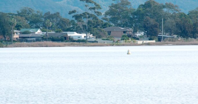 Australian suburban lifestyle contrast with people exercising by a lake near gum trees and run-down property