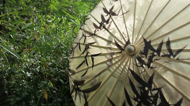 Rotating Traditional Chinese Paper Umbrella in Green Nature Garden