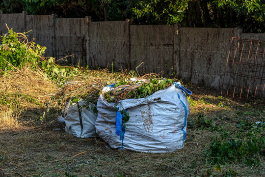 Sac de d&eacute;chets vert apr&egrave;s d&eacute;broussaillage du jardin