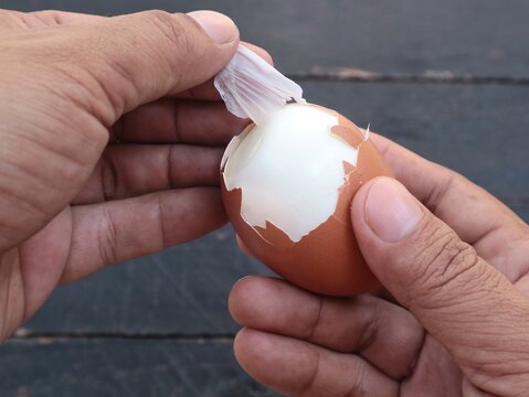 Close up photograph showing human hands carefully peeling the brown eggshell and transparent inner membrane off a hard boiled chicken egg against a dark wooden surface