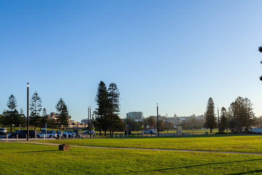 Green parkland recreational area in Newcastle - Camp Shortland