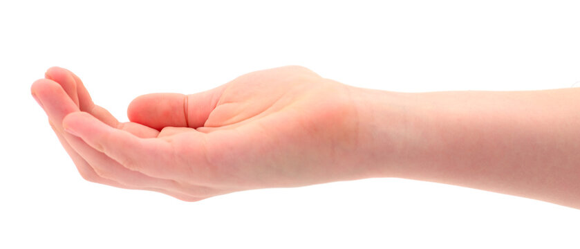 Empty Open Human Hand Reaching Out