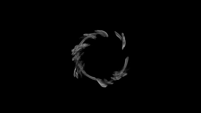 A Circular smoke Ring