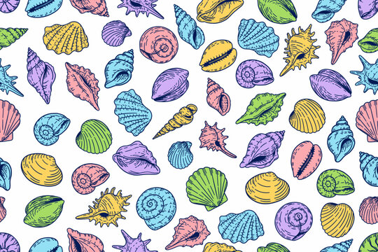 Colorful hand drawn seashell seamless pattern