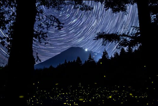 富士山麓から富士登山の光と星の周回運動の軌跡とヒメボタルの光比較明合成動画