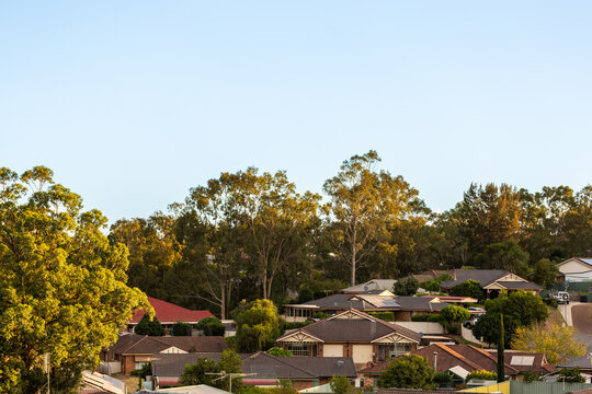 tiled rooves of houses in suburb of Singleton Heights among gum trees